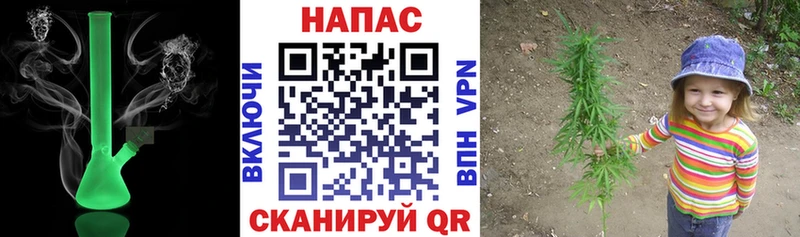 Где купить наркоту Чистополь Галлюциногенные грибы  Меф мяу мяу  Конопля  Кокаин  А ПВП 