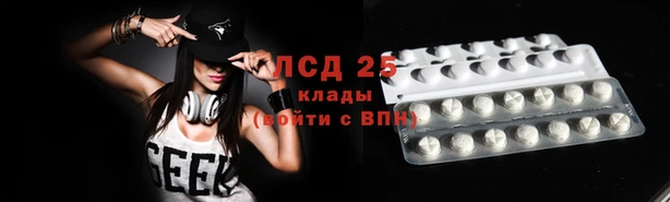 PSILOCYBIN Балабаново